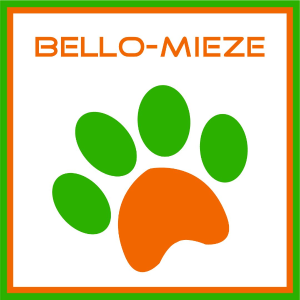 Contact logo